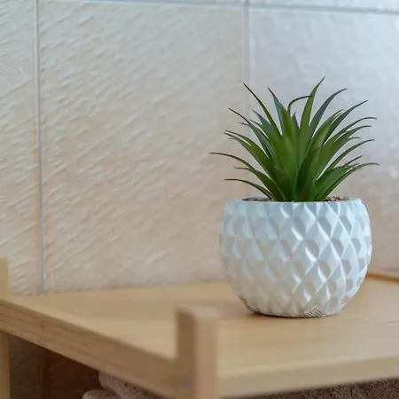 Goceano Mare Apartman